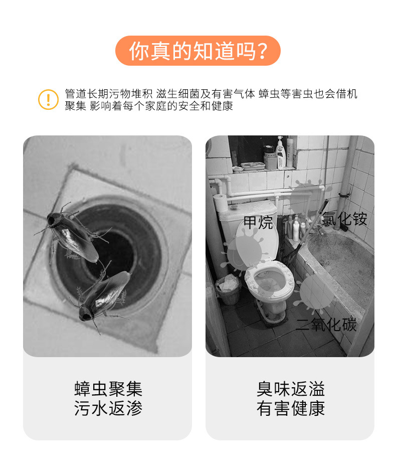 Floor Drain Odor Preventer Sewer Deodorant Cover Closure Anti-Odor Insect-Proof Artifact Toilet Sealing Plug Ground Core