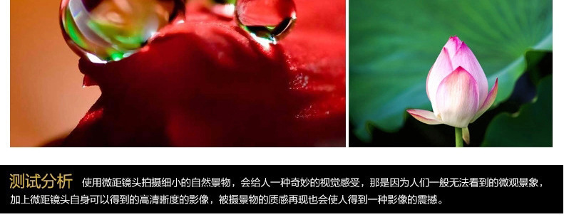 Mobile lens fisheye wide Angle macro three-in-one external plate 0.4x high list reverse coating without distortion customization