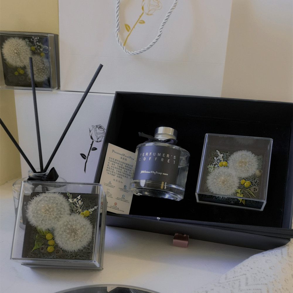 Flower FireFree Aromatherapy African Chrysanthemum Champagne Flower Freesia New Home Indoor Teacher&#039;s Day Flower Gift