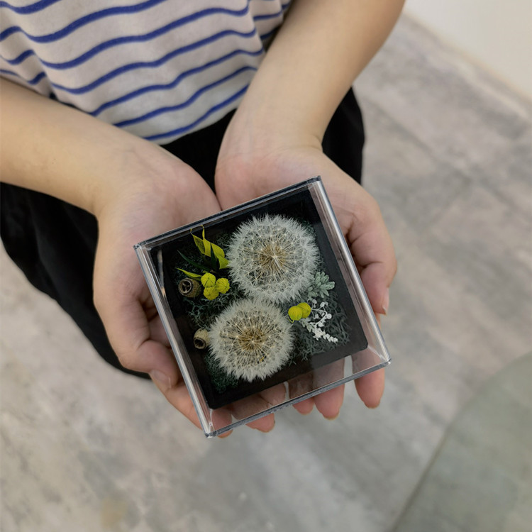 Flower FireFree Aromatherapy African Chrysanthemum Champagne Flower Freesia New Home Indoor Teacher's Day Flower Gift Flower FireFree Aromatherapy African Chrysanthemum Champagne Flower Freesia New Home Indoor Teacher's Day Flower Gift