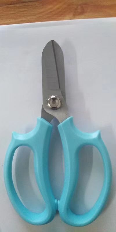 Factory Direct Sales New Gardening Scissors Pruning Shear Flower Arrangement Scissors Factory Direct Sales New Gardening Scissors Pruning Shear Flower Arrangement Scissors