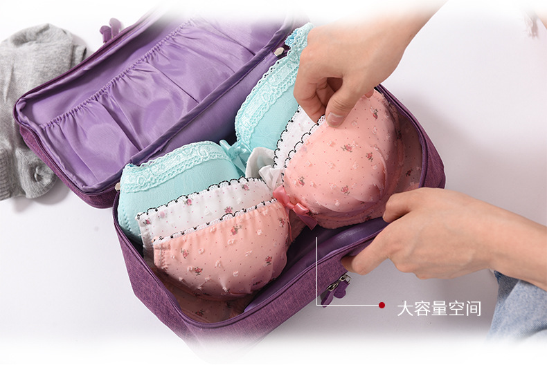 Travel Waterproof Buggy Bag Cationic Bra Bag Underwear Underwear Storage Bag Organizing Folders Bra Storage Bag Travel Waterproof Buggy Bag Cationic Bra Bag Underwear Underwear Storage Bag Organizing Folders Bra Storage Bag