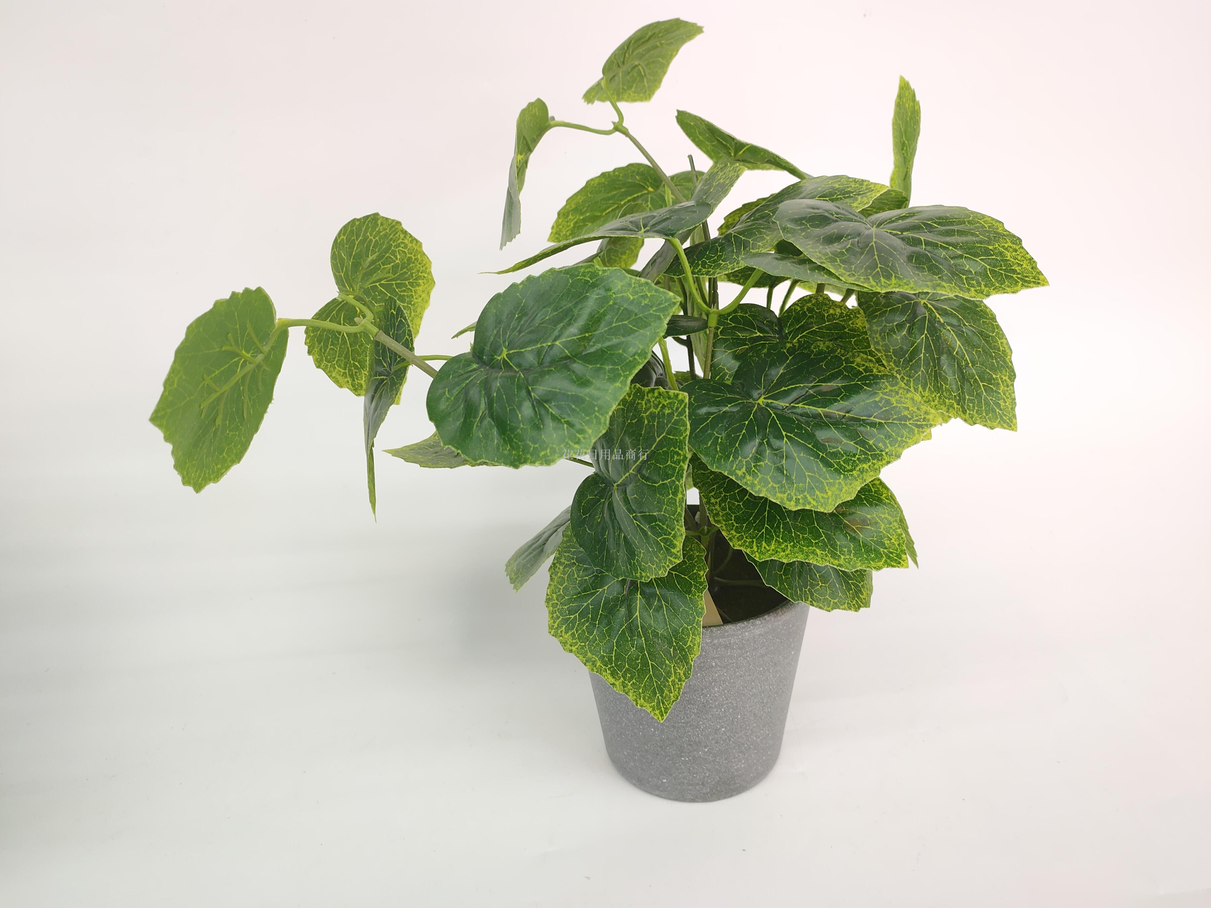 Artificial flower artificial flower plastic basin grape leaf green romaine leaf bonsai decoration dining table