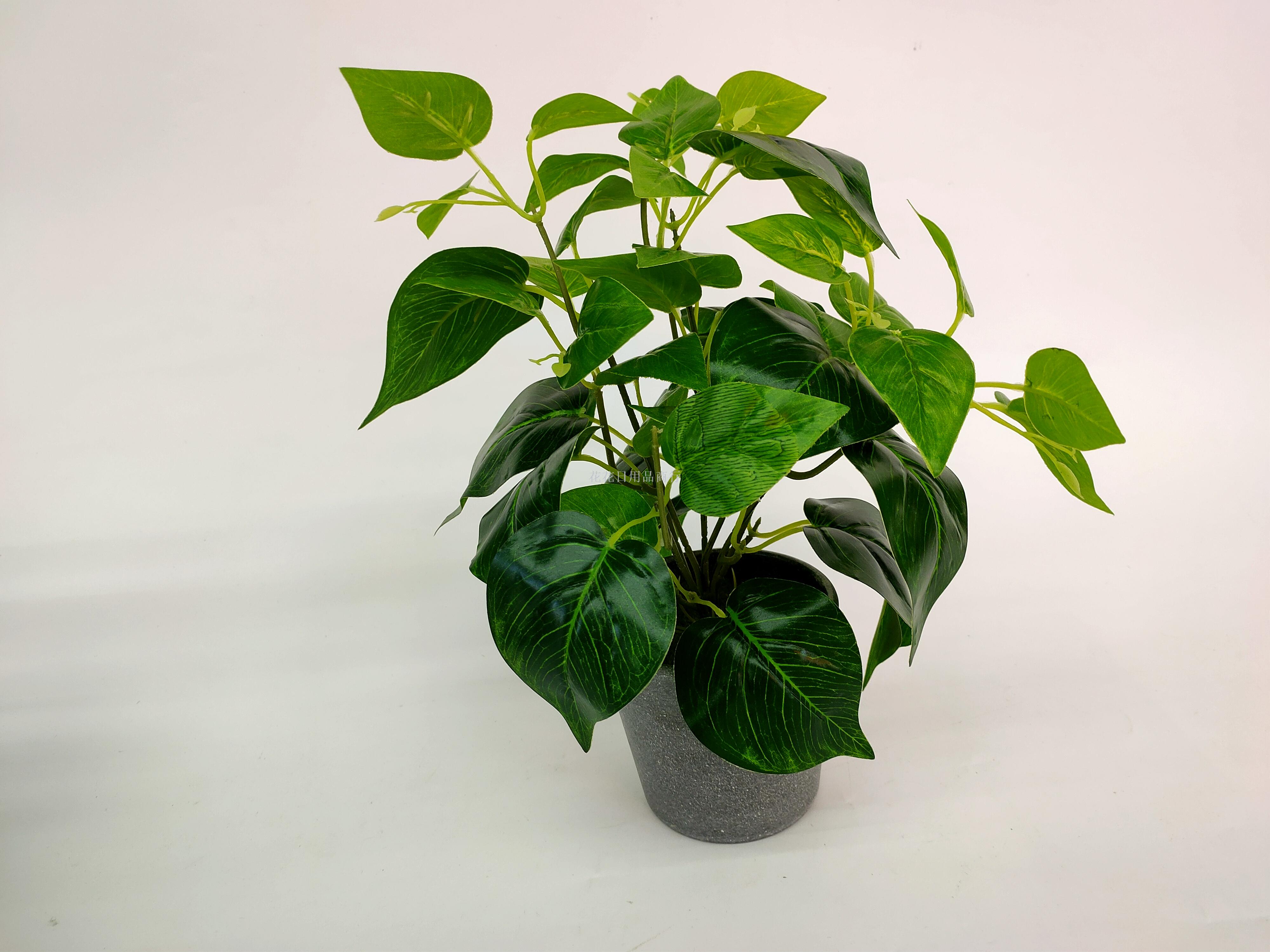 Artificial flower artificial flower plastic basin grape leaf green romaine leaf bonsai decoration dining table