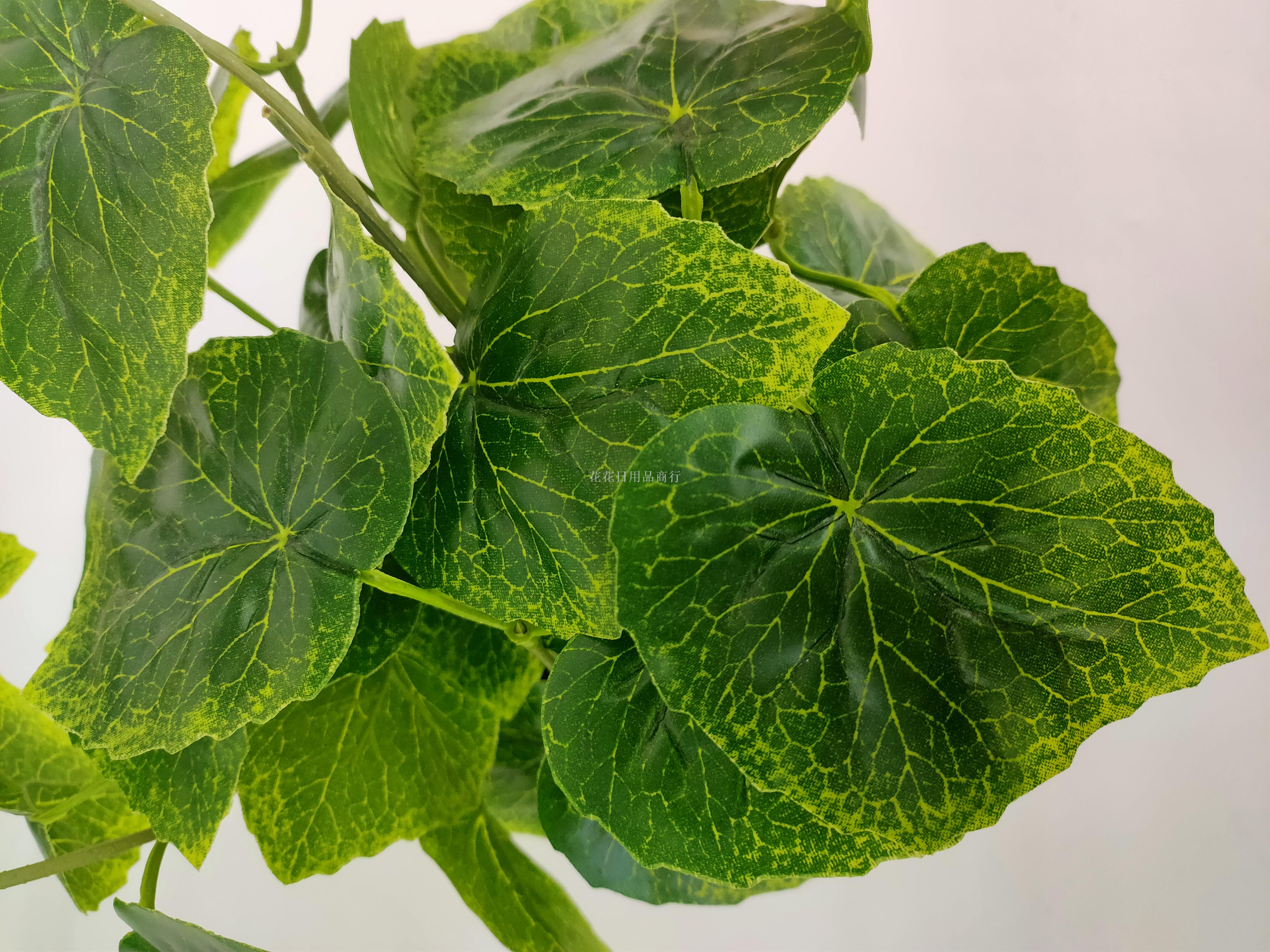 Artificial flower artificial flower plastic basin grape leaf green romaine leaf bonsai decoration dining table