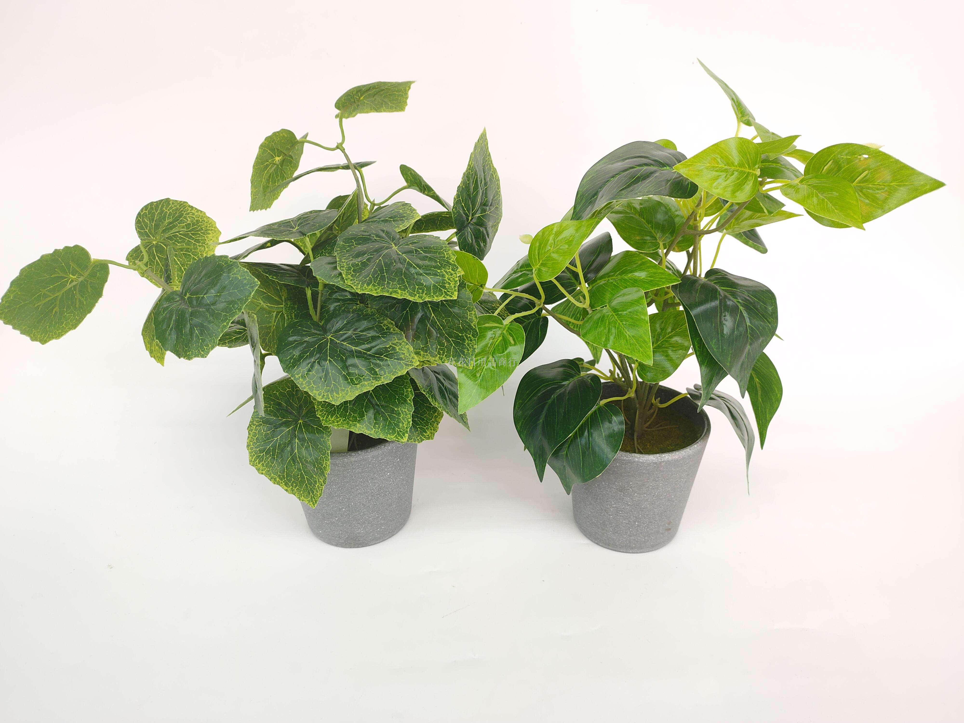 Artificial flower artificial flower plastic basin grape leaf green romaine leaf bonsai decoration dining table Artificial flower artificial flower plastic basin grape leaf green romaine leaf bonsai decoration dining table