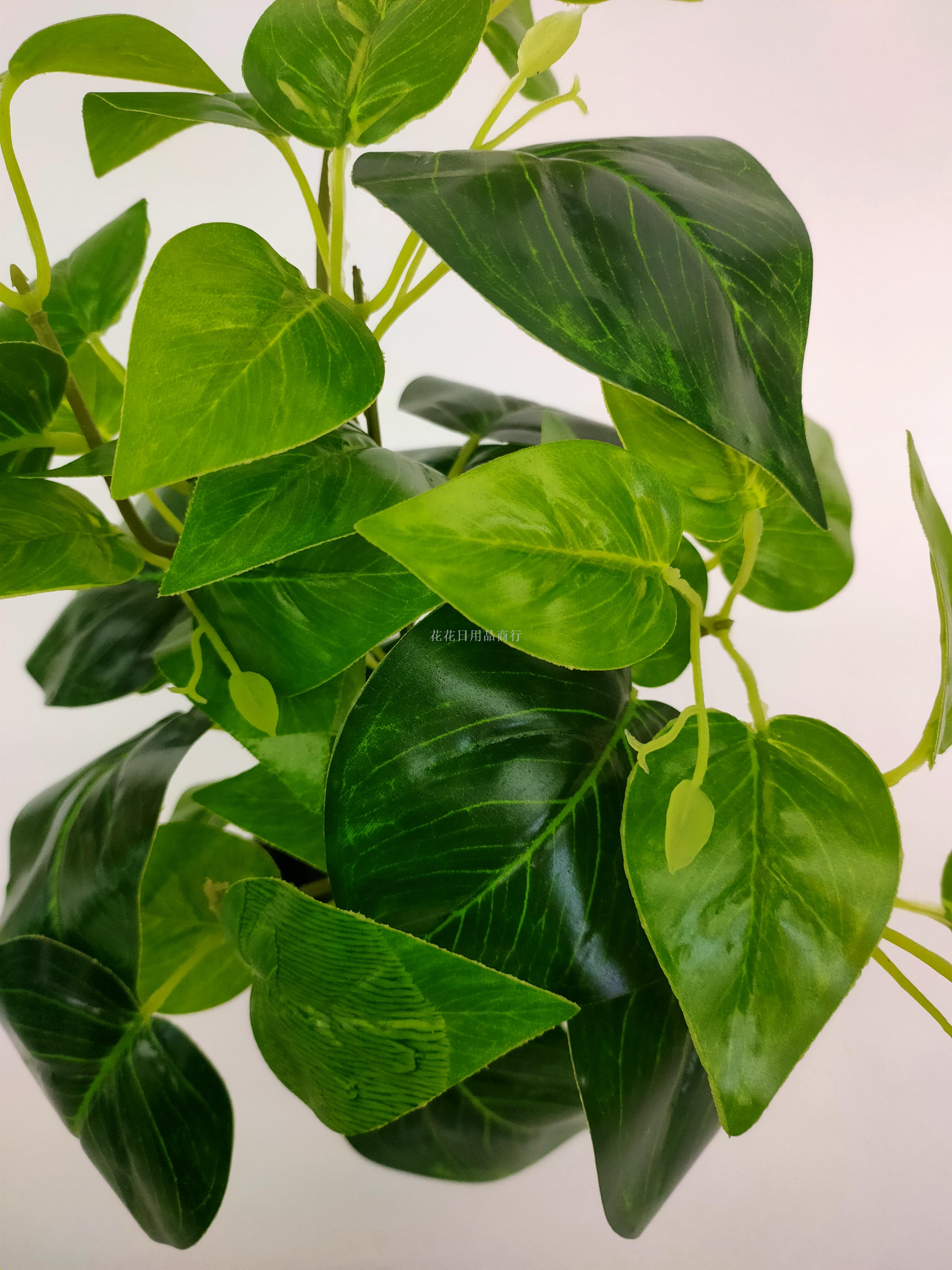 Artificial flower artificial flower plastic basin grape leaf green romaine leaf bonsai decoration dining table Artificial flower artificial flower plastic basin grape leaf green romaine leaf bonsai decoration dining table