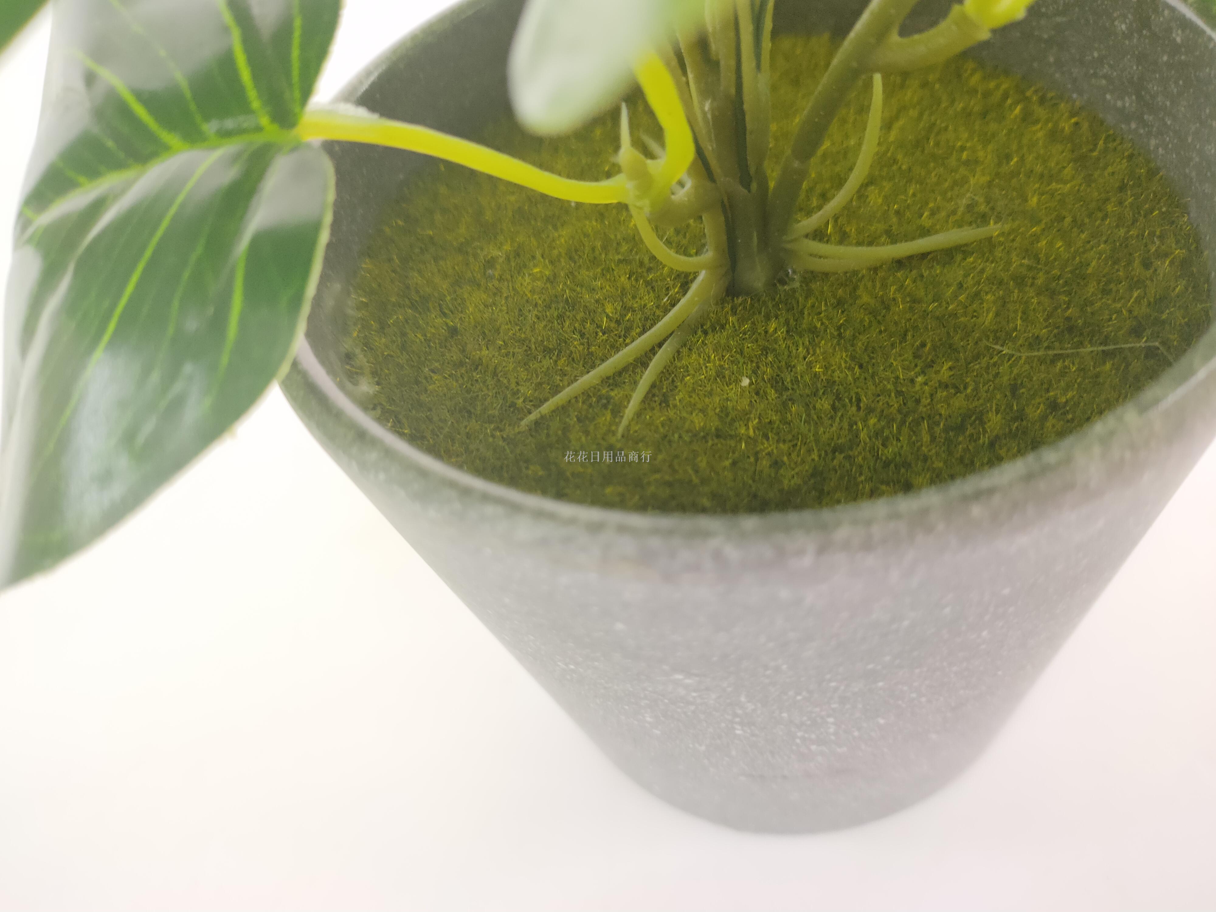 Artificial flower artificial flower plastic basin grape leaf green romaine leaf bonsai decoration dining table Artificial flower artificial flower plastic basin grape leaf green romaine leaf bonsai decoration dining table