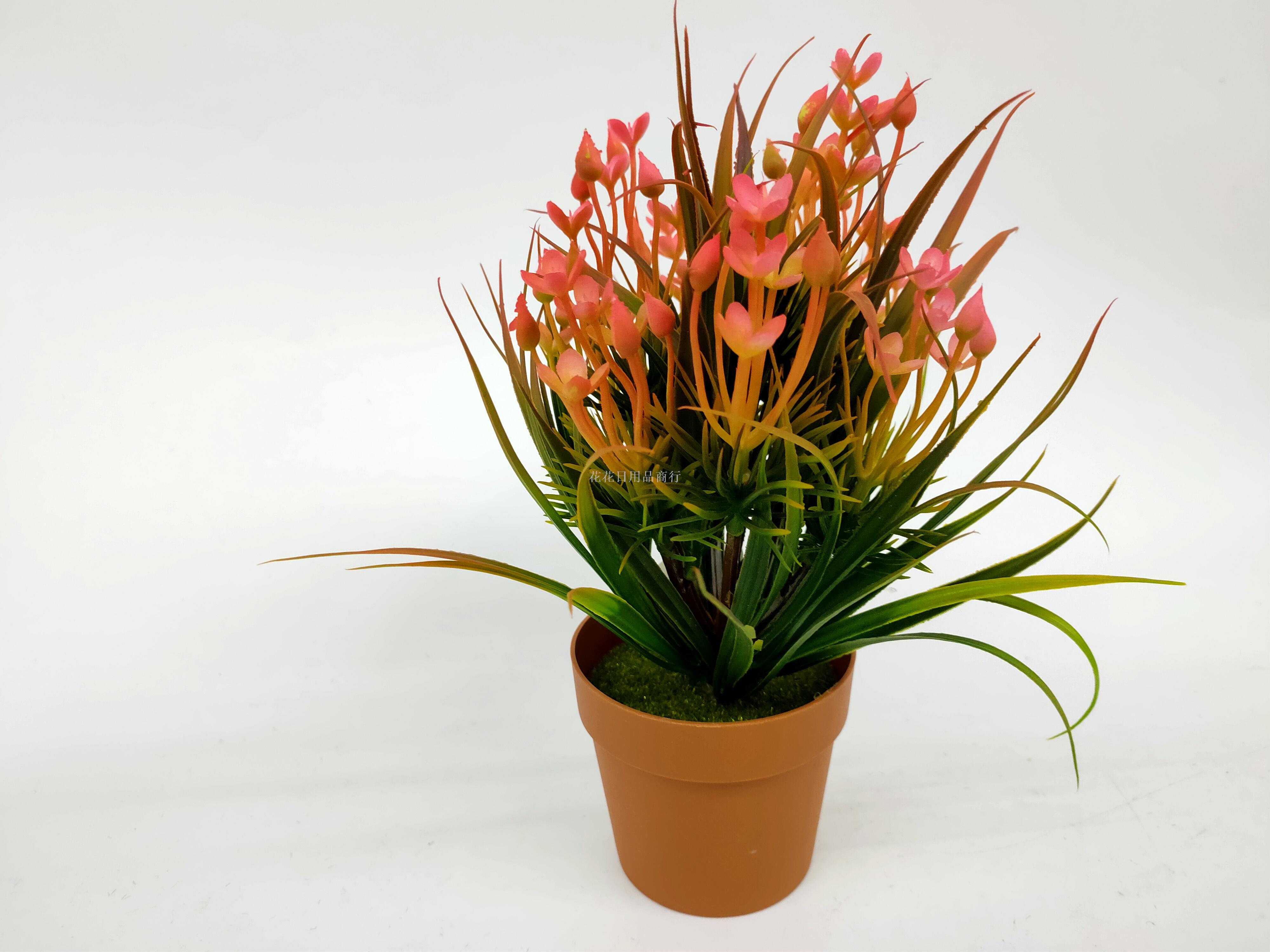 Artificial flower false flower coffee color plastic basin small flowers grass plants bonsai decorative living room Artificial flower false flower coffee color plastic basin small flowers grass plants bonsai decorative living room