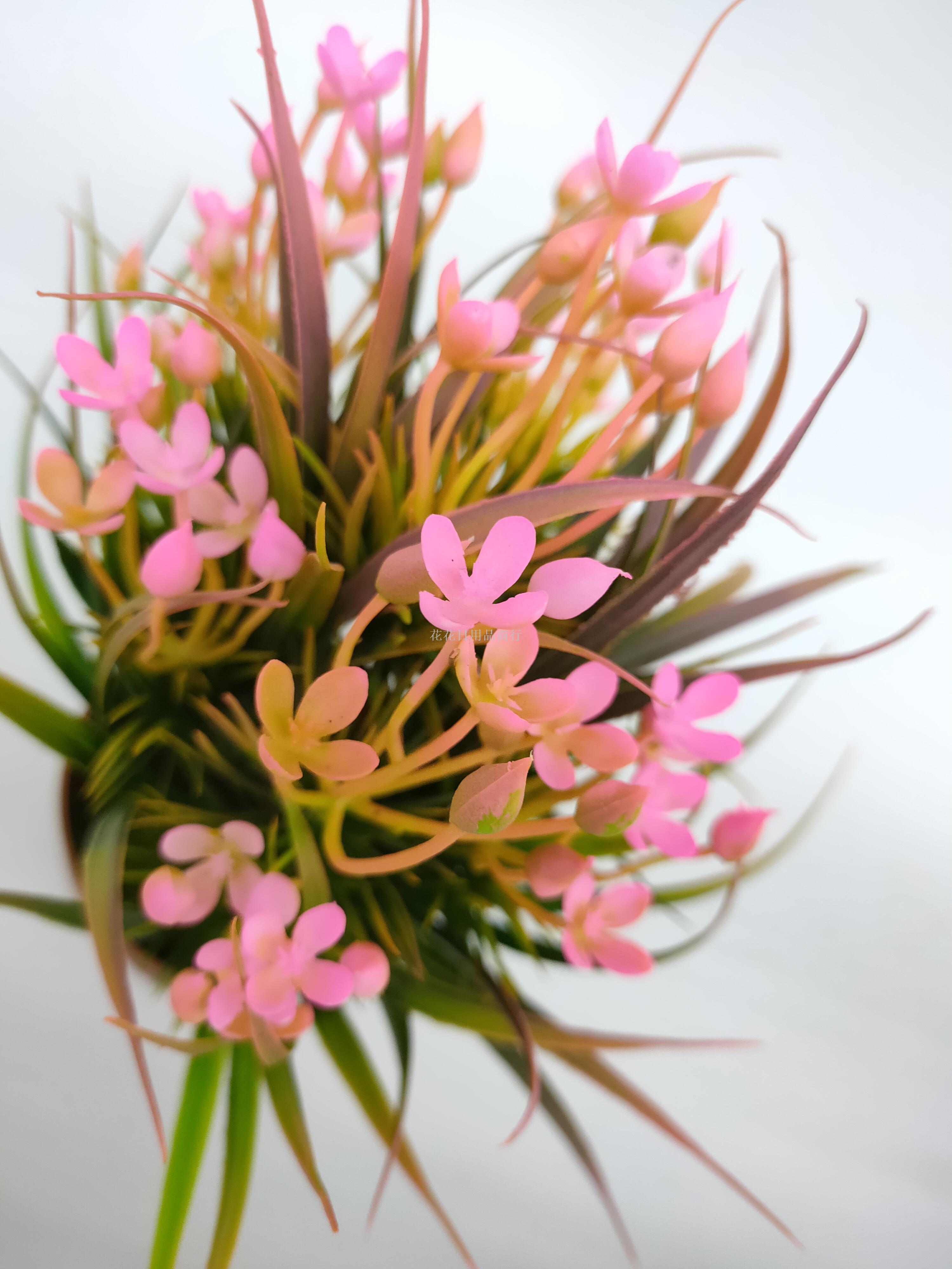 Artificial flower false flower coffee color plastic basin small flowers grass plants bonsai decorative living room Artificial flower false flower coffee color plastic basin small flowers grass plants bonsai decorative living room