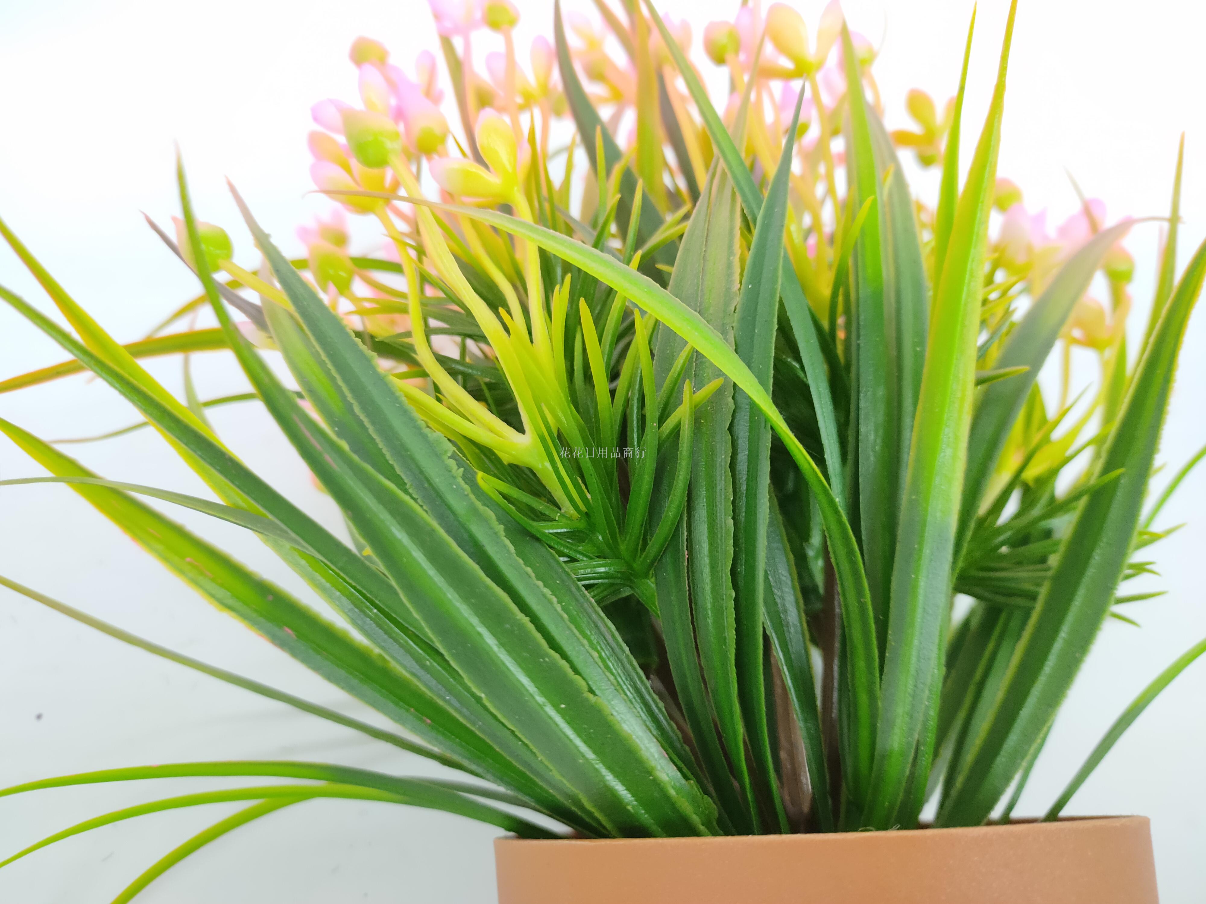 Artificial flower false flower coffee color plastic basin small flowers grass plants bonsai decorative living room Artificial flower false flower coffee color plastic basin small flowers grass plants bonsai decorative living room