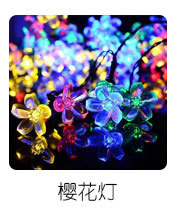 Snowlights LED light decoration Snowlights new custom Christmas lights