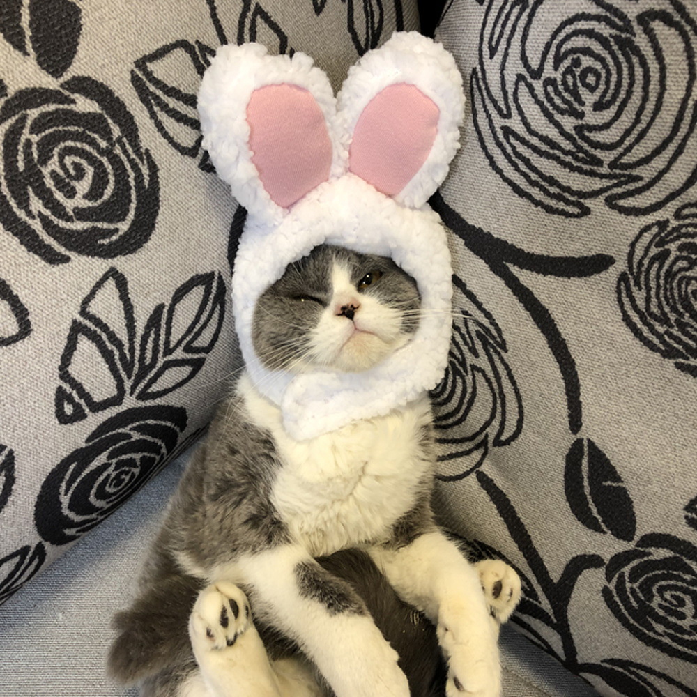 Dog Hairpin Rabbit Hairpin Christmas Hat Pet Hair Accessories Cute Princess Headdress Cat Headwear Rabbit Ears Dog Hairpin Rabbit Hairpin Christmas Hat Pet Hair Accessories Cute Princess Headdress Cat Headwear Rabbit Ears