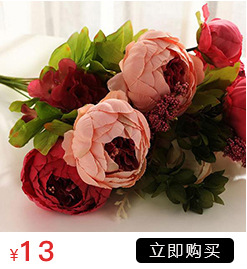 Artificial Plant Decoration Artificial Flower Plant Zamioculcas Leaves Artificial Flower Artificial Plant Single Stem Multi-Head Leaf Eucalyptus Artificial Plant Decoration Artificial Flower Plant Zamioculcas Leaves Artificial Flower Artificial Plant Single Stem Multi-Head Leaf Eucalyptus