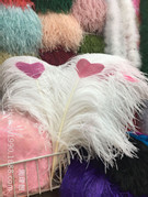 Factory in Stock 50-55cm White Ostrich Feather Wedding Home Furnishing Decoration Flower Arrangement Feather Lamp Color Feather Factory in Stock 50-55cm White Ostrich Feather Wedding Home Furnishing Decoration Flower Arrangement Feather Lamp Color Feather