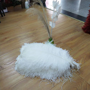 Factory in Stock 50-55cm White Ostrich Feather Wedding Home Furnishing Decoration Flower Arrangement Feather Lamp Color Feather Factory in Stock 50-55cm White Ostrich Feather Wedding Home Furnishing Decoration Flower Arrangement Feather Lamp Color Feather