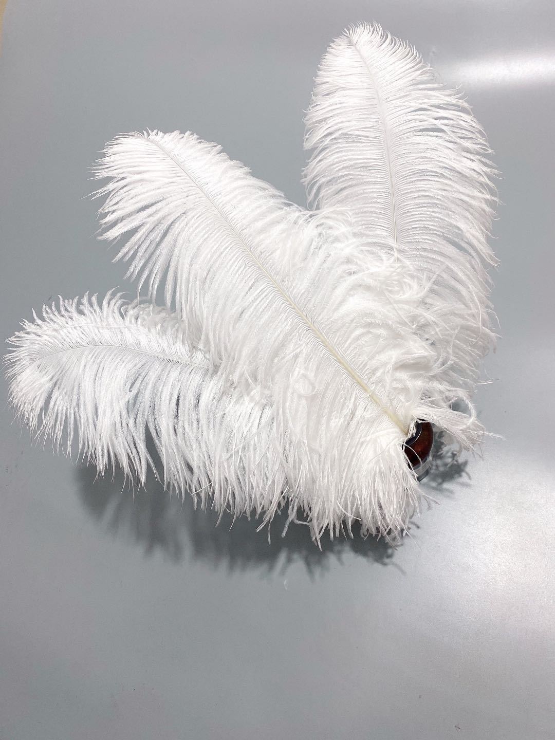 Factory in Stock 50-55cm White Ostrich Feather Wedding Home Furnishing Decoration Flower Arrangement Feather Lamp Color Feather Factory in Stock 50-55cm White Ostrich Feather Wedding Home Furnishing Decoration Flower Arrangement Feather Lamp Color Feather