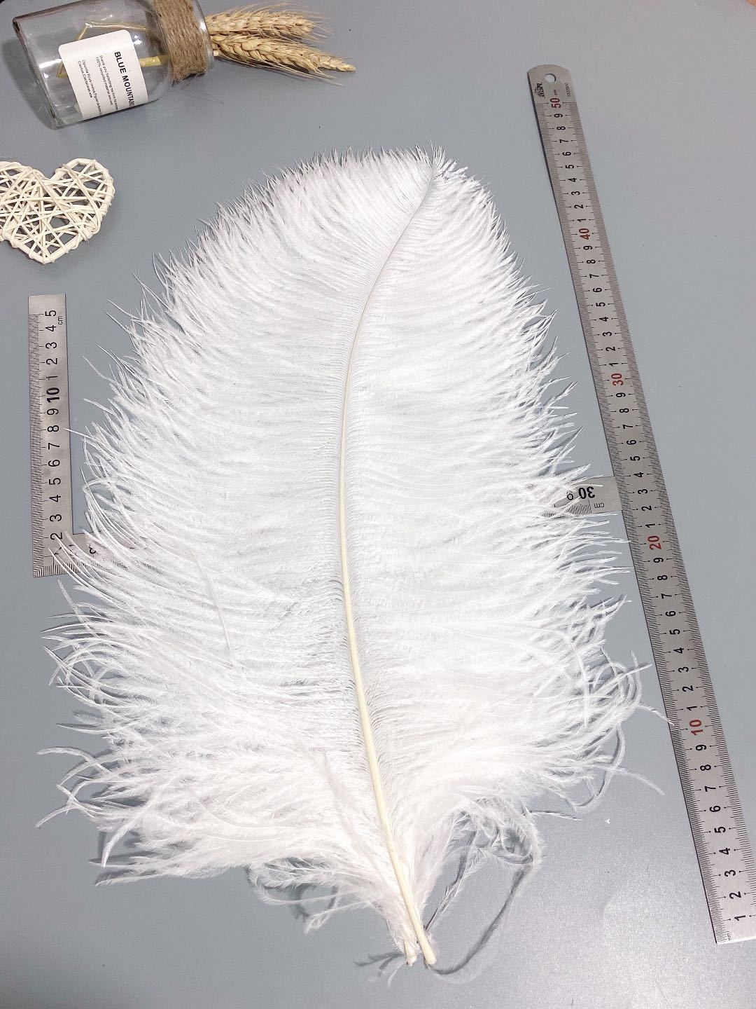 Factory in Stock 50-55cm White Ostrich Feather Wedding Home Furnishing Decoration Flower Arrangement Feather Lamp Color Feather Factory in Stock 50-55cm White Ostrich Feather Wedding Home Furnishing Decoration Flower Arrangement Feather Lamp Color Feather