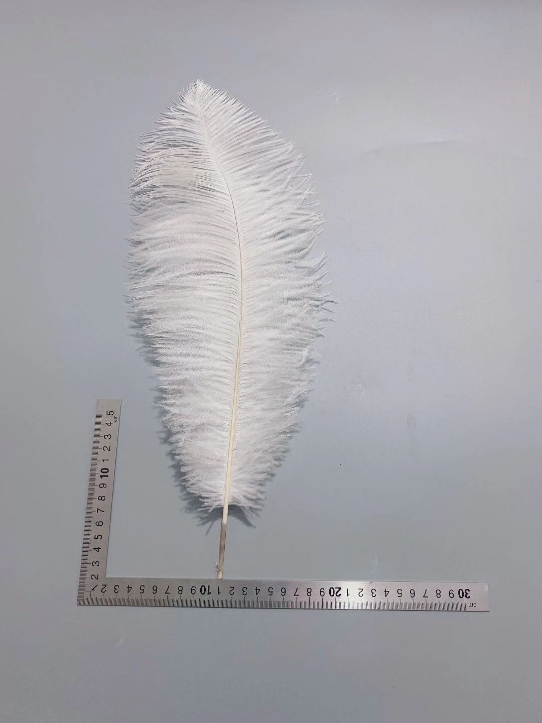 Factory in Stock 50-55cm White Ostrich Feather Wedding Home Furnishing Decoration Flower Arrangement Feather Lamp Color Feather Factory in Stock 50-55cm White Ostrich Feather Wedding Home Furnishing Decoration Flower Arrangement Feather Lamp Color Feather