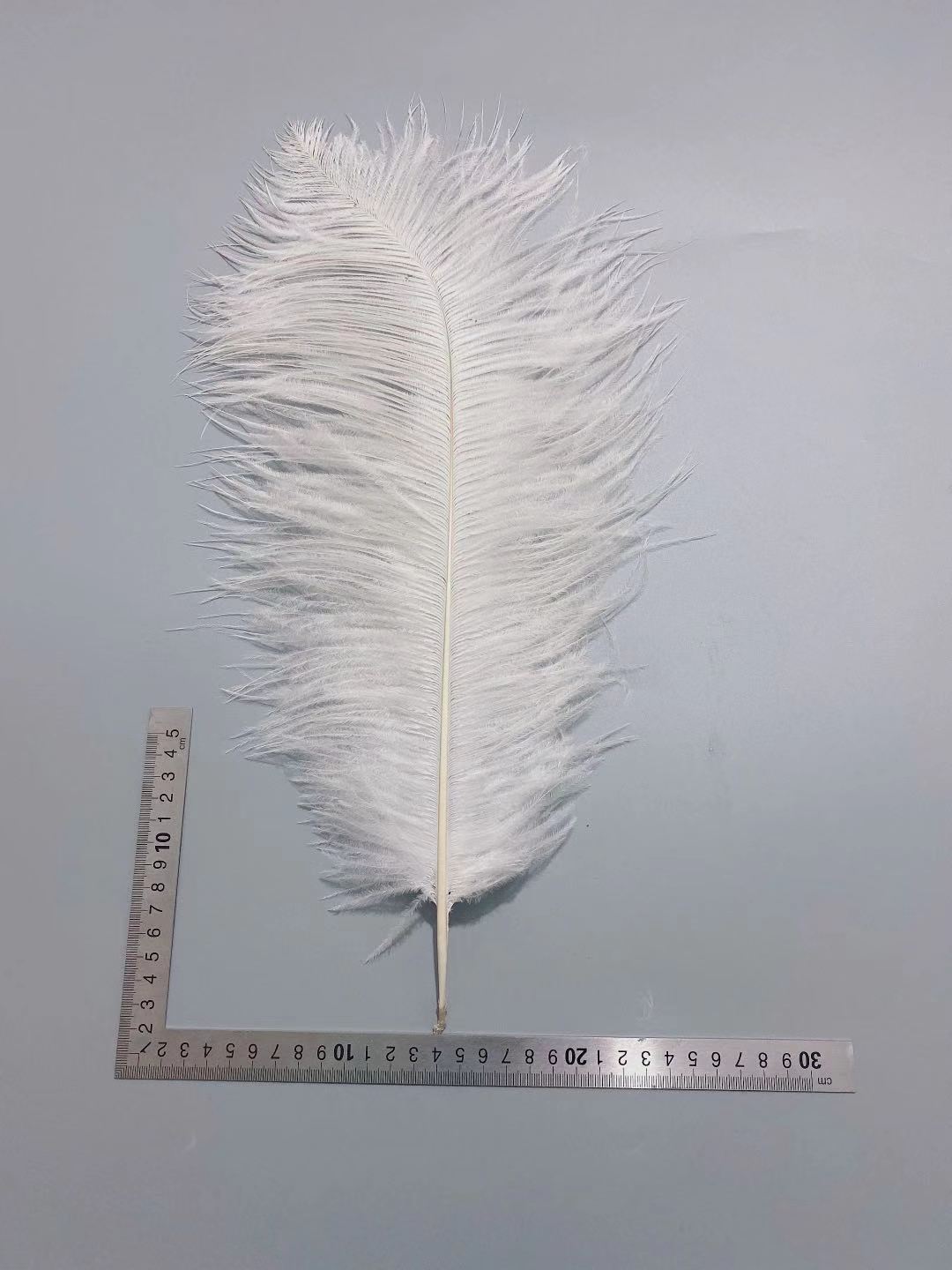 Factory in Stock 50-55cm White Ostrich Feather Wedding Home Furnishing Decoration Flower Arrangement Feather Lamp Color Feather Factory in Stock 50-55cm White Ostrich Feather Wedding Home Furnishing Decoration Flower Arrangement Feather Lamp Color Feather
