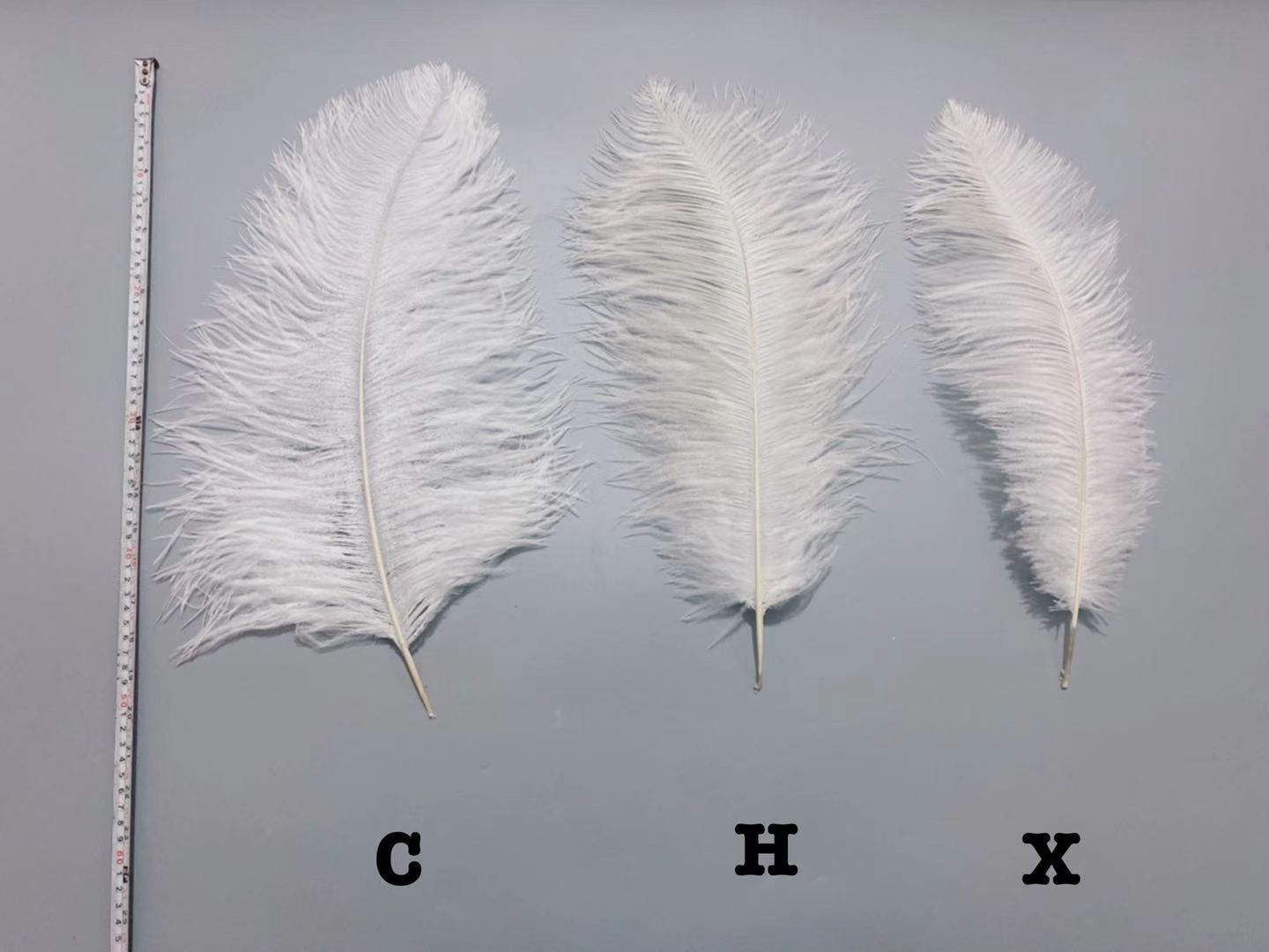 Factory in Stock 50-55cm White Ostrich Feather Wedding Home Furnishing Decoration Flower Arrangement Feather Lamp Color Feather Factory in Stock 50-55cm White Ostrich Feather Wedding Home Furnishing Decoration Flower Arrangement Feather Lamp Color Feather