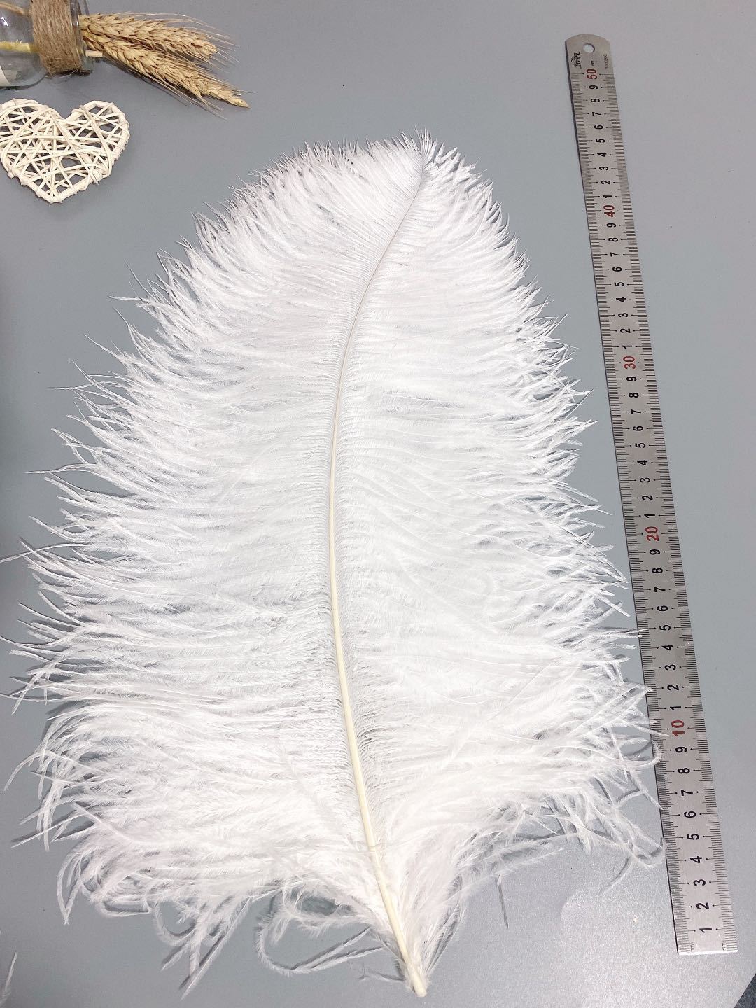 Factory in Stock 50-55cm White Ostrich Feather Wedding Home Furnishing Decoration Flower Arrangement Feather Lamp Color Feather Factory in Stock 50-55cm White Ostrich Feather Wedding Home Furnishing Decoration Flower Arrangement Feather Lamp Color Feather