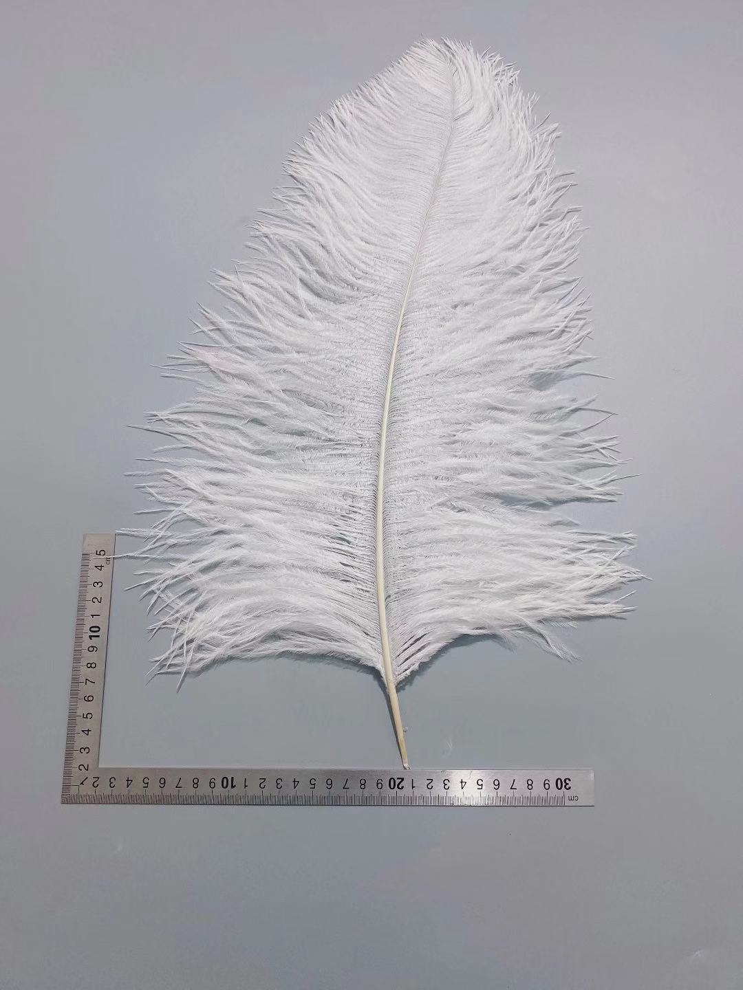 Factory in Stock 50-55cm White Ostrich Feather Wedding Home Furnishing Decoration Flower Arrangement Feather Lamp Color Feather Factory in Stock 50-55cm White Ostrich Feather Wedding Home Furnishing Decoration Flower Arrangement Feather Lamp Color Feather