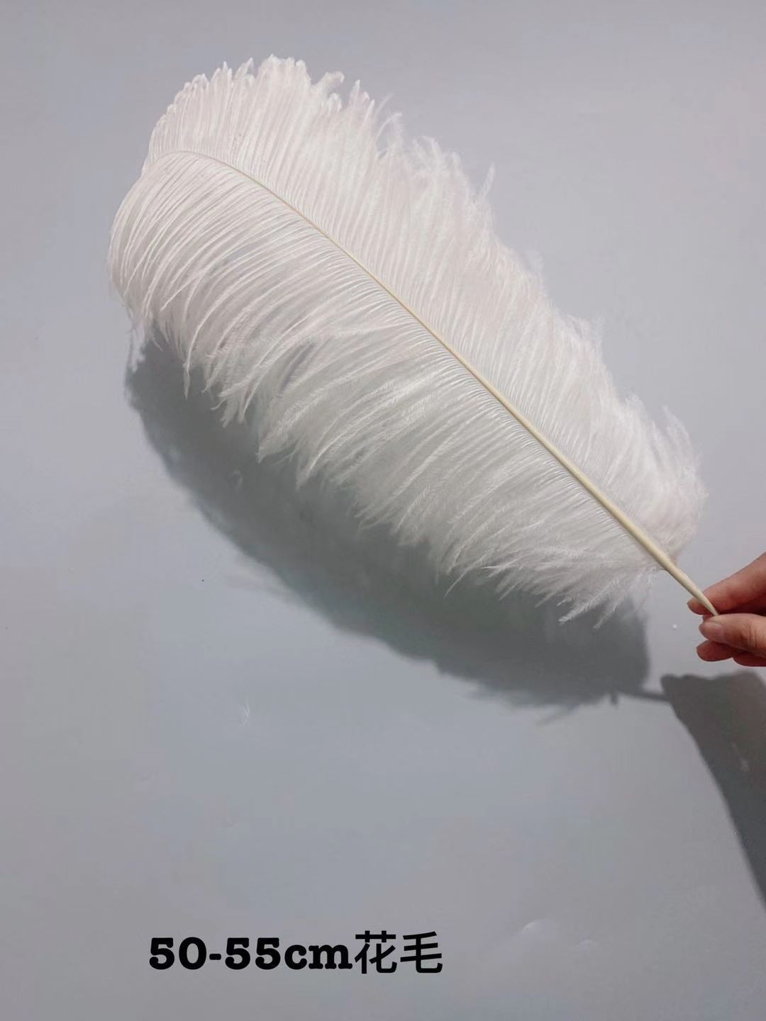 Factory in Stock 50-55cm White Ostrich Feather Wedding Home Furnishing Decoration Flower Arrangement Feather Lamp Color Feather Factory in Stock 50-55cm White Ostrich Feather Wedding Home Furnishing Decoration Flower Arrangement Feather Lamp Color Feather