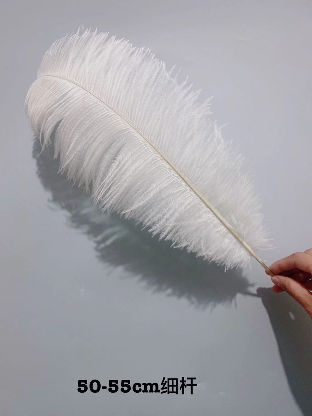 Factory in Stock 50-55cm White Ostrich Feather Wedding Home Furnishing Decoration Flower Arrangement Feather Lamp Color Feather Factory in Stock 50-55cm White Ostrich Feather Wedding Home Furnishing Decoration Flower Arrangement Feather Lamp Color Feather