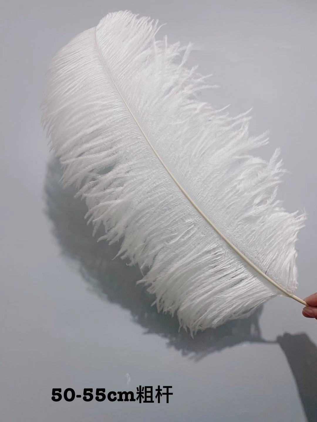 Factory in Stock 50-55cm White Ostrich Feather Wedding Home Furnishing Decoration Flower Arrangement Feather Lamp Color Feather Factory in Stock 50-55cm White Ostrich Feather Wedding Home Furnishing Decoration Flower Arrangement Feather Lamp Color Feather