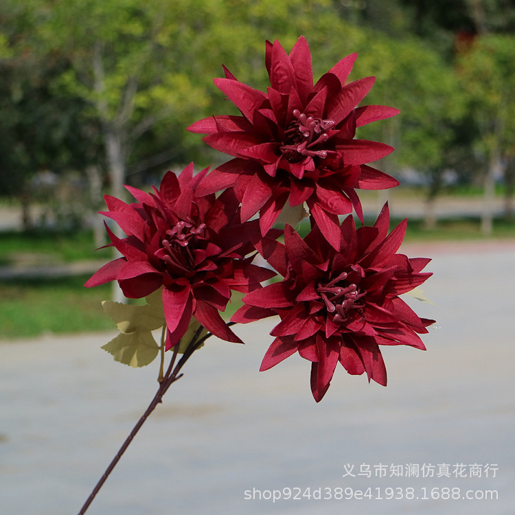 Western Rose Wedding Celebration Decoration Artificial Flower Artificial Flower European-Style Core 3 Peony Wholesale Origin Supply Western Rose Wedding Celebration Decoration Artificial Flower Artificial Flower European-Style Core 3 Peony Wholesale Origin Supply