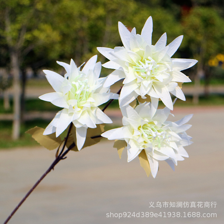 Western Rose Wedding Celebration Decoration Artificial Flower Artificial Flower European-Style Core 3 Peony Wholesale Origin Supply Western Rose Wedding Celebration Decoration Artificial Flower Artificial Flower European-Style Core 3 Peony Wholesale Origin Supply
