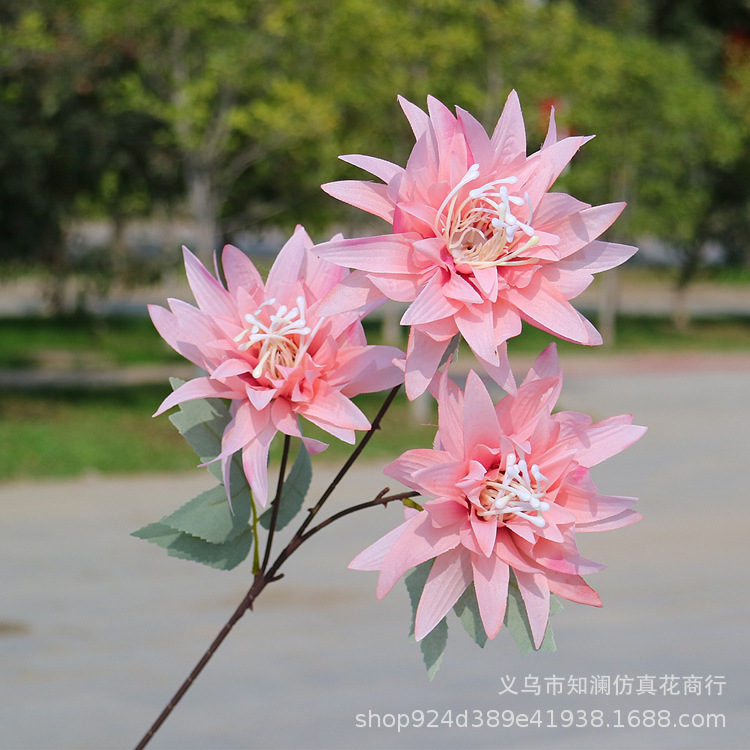 Western Rose Wedding Celebration Decoration Artificial Flower Artificial Flower European-Style Core 3 Peony Wholesale Origin Supply Western Rose Wedding Celebration Decoration Artificial Flower Artificial Flower European-Style Core 3 Peony Wholesale Origin Supply