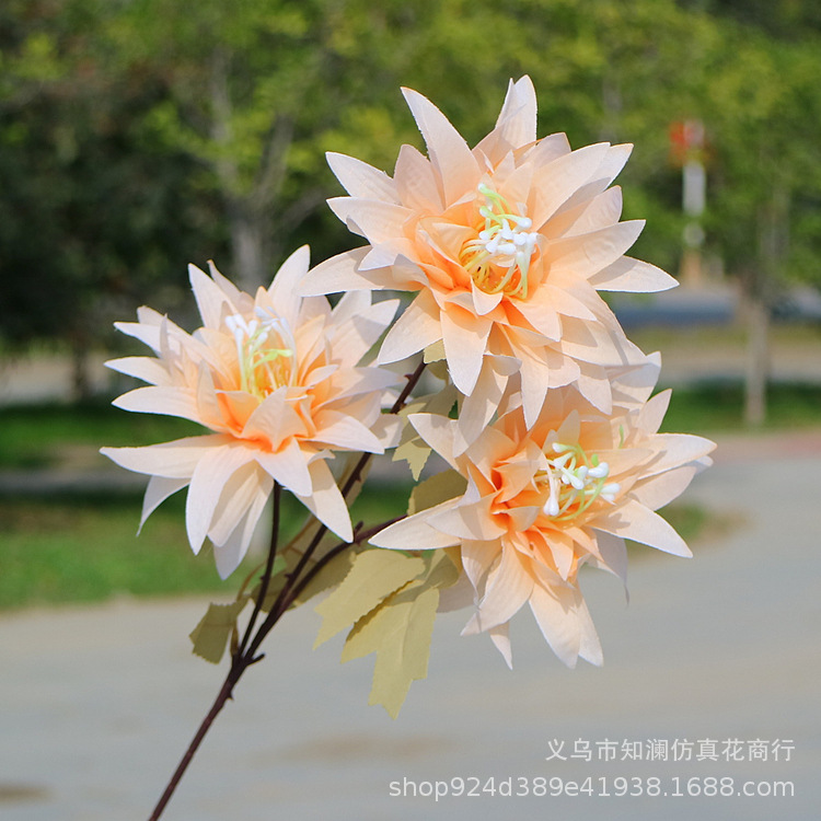 Western Rose Wedding Celebration Decoration Artificial Flower Artificial Flower European-Style Core 3 Peony Wholesale Origin Supply Western Rose Wedding Celebration Decoration Artificial Flower Artificial Flower European-Style Core 3 Peony Wholesale Origin Supply