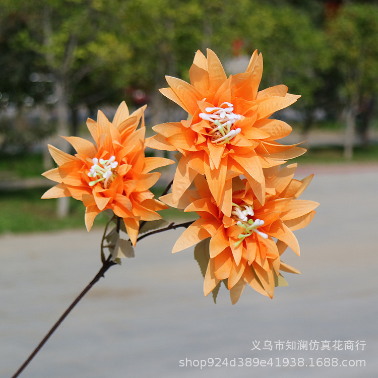 Western Rose Wedding Celebration Decoration Artificial Flower Artificial Flower European-Style Core 3 Peony Wholesale Origin Supply Western Rose Wedding Celebration Decoration Artificial Flower Artificial Flower European-Style Core 3 Peony Wholesale Origin Supply