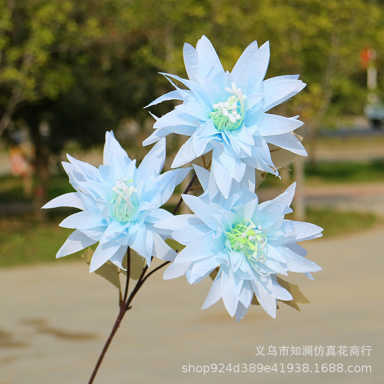 Western Rose Wedding Celebration Decoration Artificial Flower Artificial Flower European-Style Core 3 Peony Wholesale Origin Supply Western Rose Wedding Celebration Decoration Artificial Flower Artificial Flower European-Style Core 3 Peony Wholesale Origin Supply