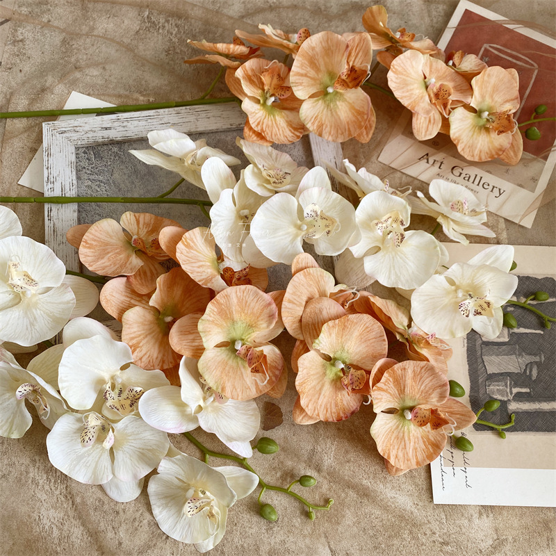 Artificial Phalaenopsis 8 Head Autumn Color Cloth with Snow Spots Wedding Beautiful Wedding Hall Decorative Silk Flower Orchid Cymbidium Faberi Foreign Trade Artificial Phalaenopsis 8 Head Autumn Color Cloth with Snow Spots Wedding Beautiful Wedding Hall Decorative Silk Flower Orchid Cymbidium Faberi Foreign Trade
