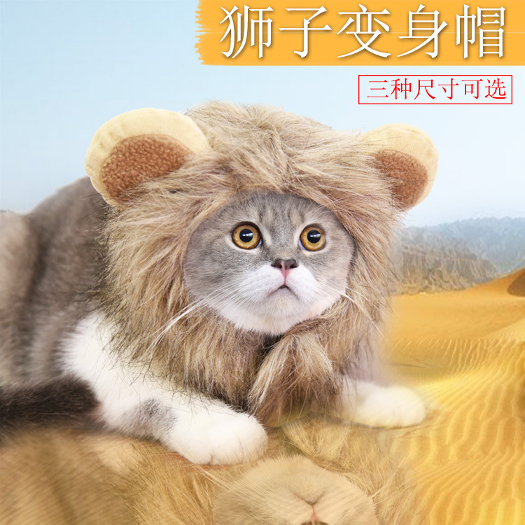 Lion Transformation Halloween Ghost Festival Pet Hat Cat Hat Velcro Adjustable Pet Supplies Autumn and Winter