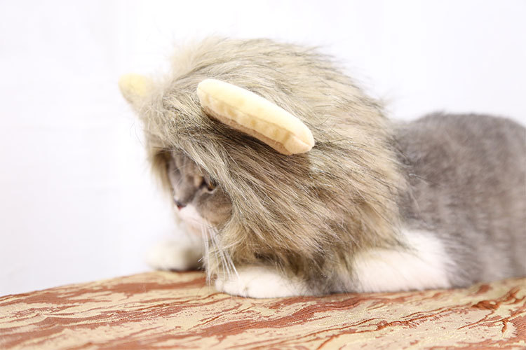 Lion Transformation Halloween Ghost Festival Pet Hat Cat Hat Velcro Adjustable Pet Supplies Autumn and Winter