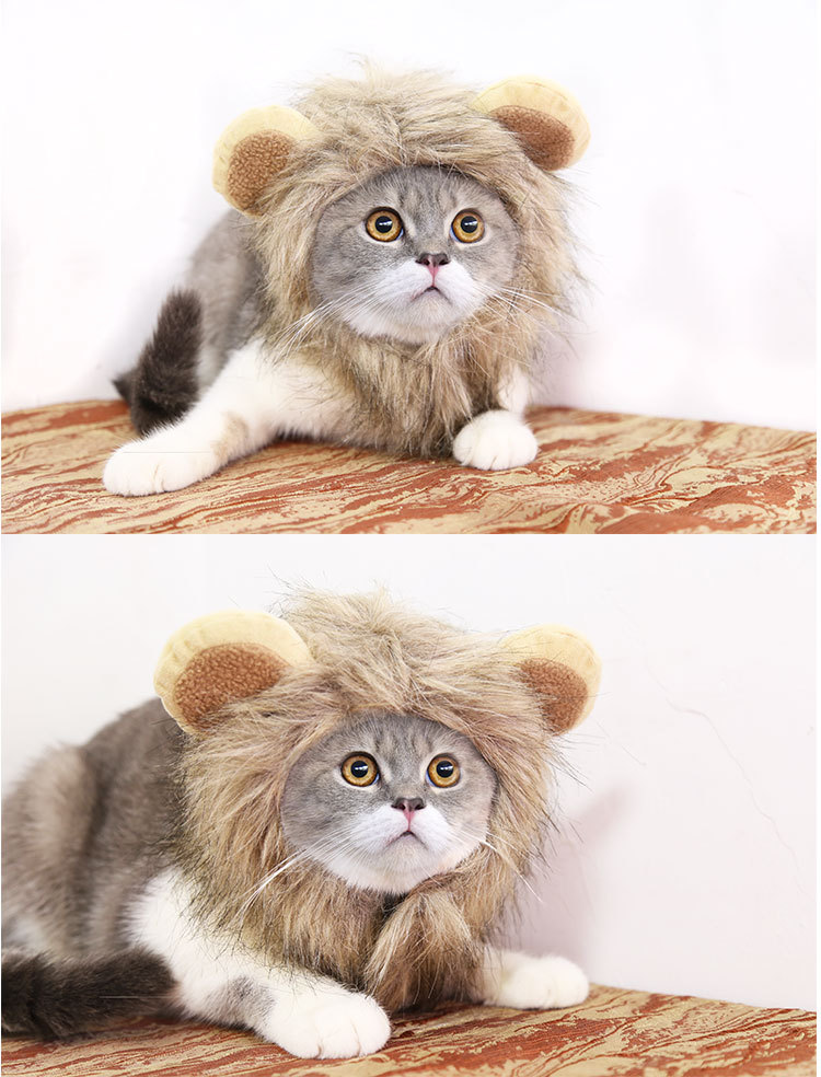 Lion Transformation Halloween Ghost Festival Pet Hat Cat Hat Velcro Adjustable Pet Supplies Autumn and Winter Lion Transformation Halloween Ghost Festival Pet Hat Cat Hat Velcro Adjustable Pet Supplies Autumn and Winter