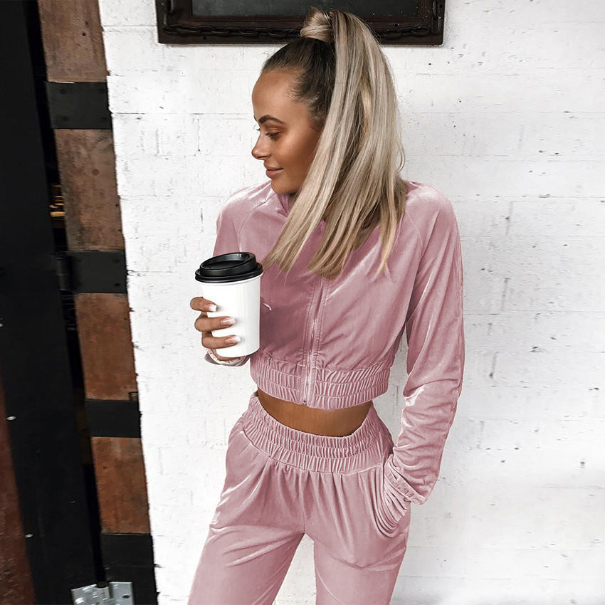 2021 Swan Suede Suit Women's European and American Autumn and Winter Solid Color Zipper Sweater Ankle-Tied Sports Trousers Two-Piece Suit Women's