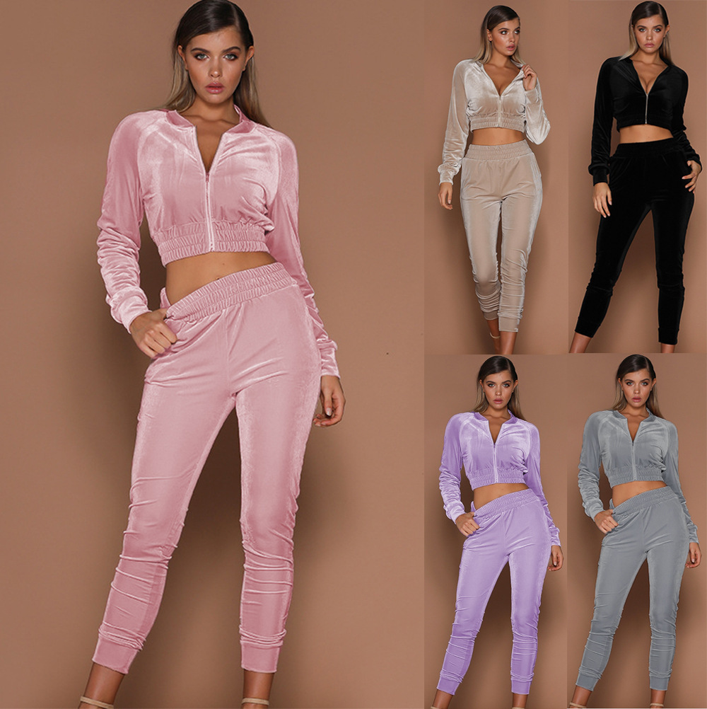 2021 Swan Suede Suit Women's European and American Autumn and Winter Solid Color Zipper Sweater Ankle-Tied Sports Trousers Two-Piece Suit Women's