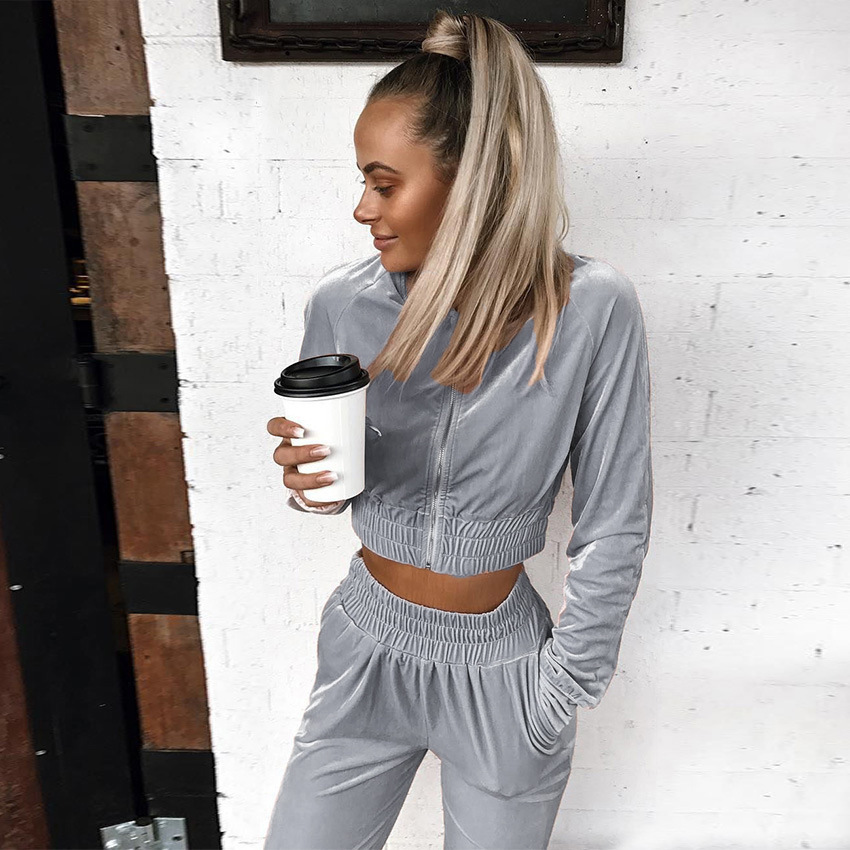 2021 Swan Suede Suit Women's European and American Autumn and Winter Solid Color Zipper Sweater Ankle-Tied Sports Trousers Two-Piece Suit Women's