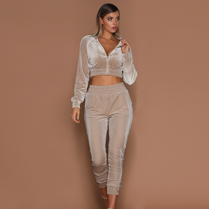 2021 Swan Suede Suit Women's European and American Autumn and Winter Solid Color Zipper Sweater Ankle-Tied Sports Trousers Two-Piece Suit Women's