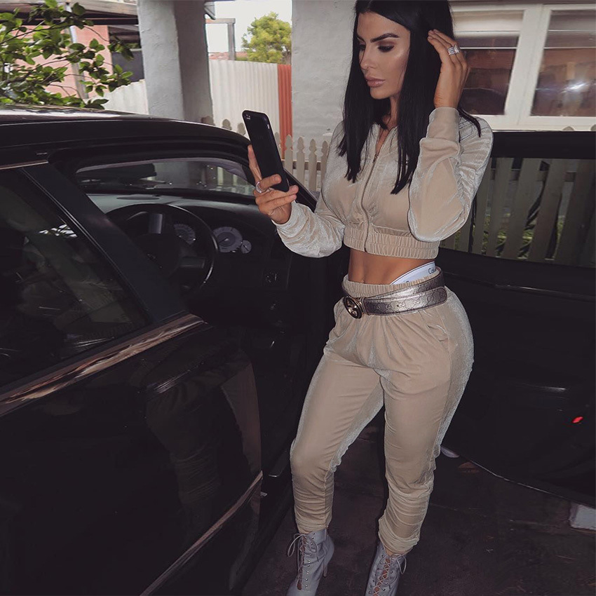 2021 Swan Suede Suit Women's European and American Autumn and Winter Solid Color Zipper Sweater Ankle-Tied Sports Trousers Two-Piece Suit Women's