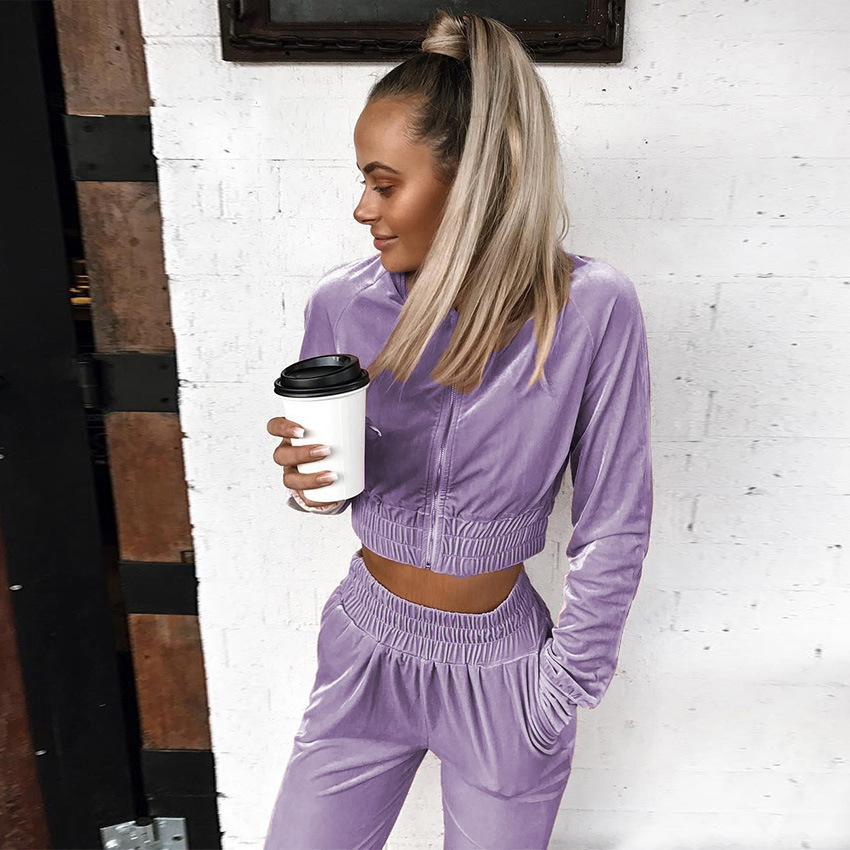2021 Swan Suede Suit Women's European and American Autumn and Winter Solid Color Zipper Sweater Ankle-Tied Sports Trousers Two-Piece Suit Women's
