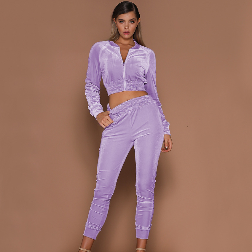 2021 Swan Suede Suit Women's European and American Autumn and Winter Solid Color Zipper Sweater Ankle-Tied Sports Trousers Two-Piece Suit Women's