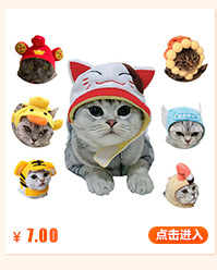 10 Pet Headwear Cute Dog Teddy Dress up Sunflower Lucky Headdress Wig Cat Headwear Hat 10 Pet Headwear Cute Dog Teddy Dress up Sunflower Lucky Headdress Wig Cat Headwear Hat