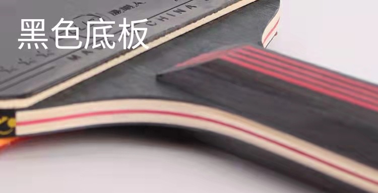 Sheng Hu Ren Table Tennis Rackets 2 Pack Beginner Table Tennis Ball Pen-Hold Grip Hand-Shake Grip Children Student Professional Double