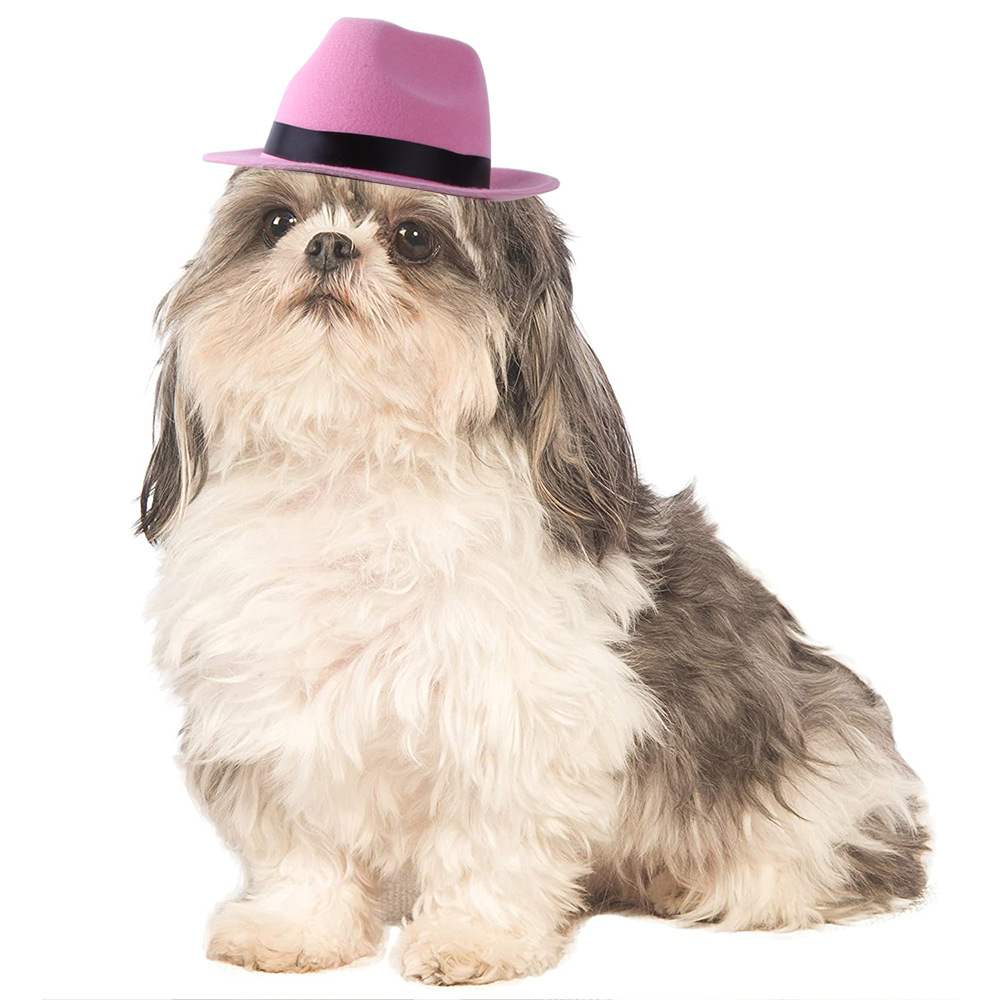 Factory Wholesale New Pet Hat Dog Cowboy Hat Triangular Binder Suit Headgear Cat Funny Headdress
